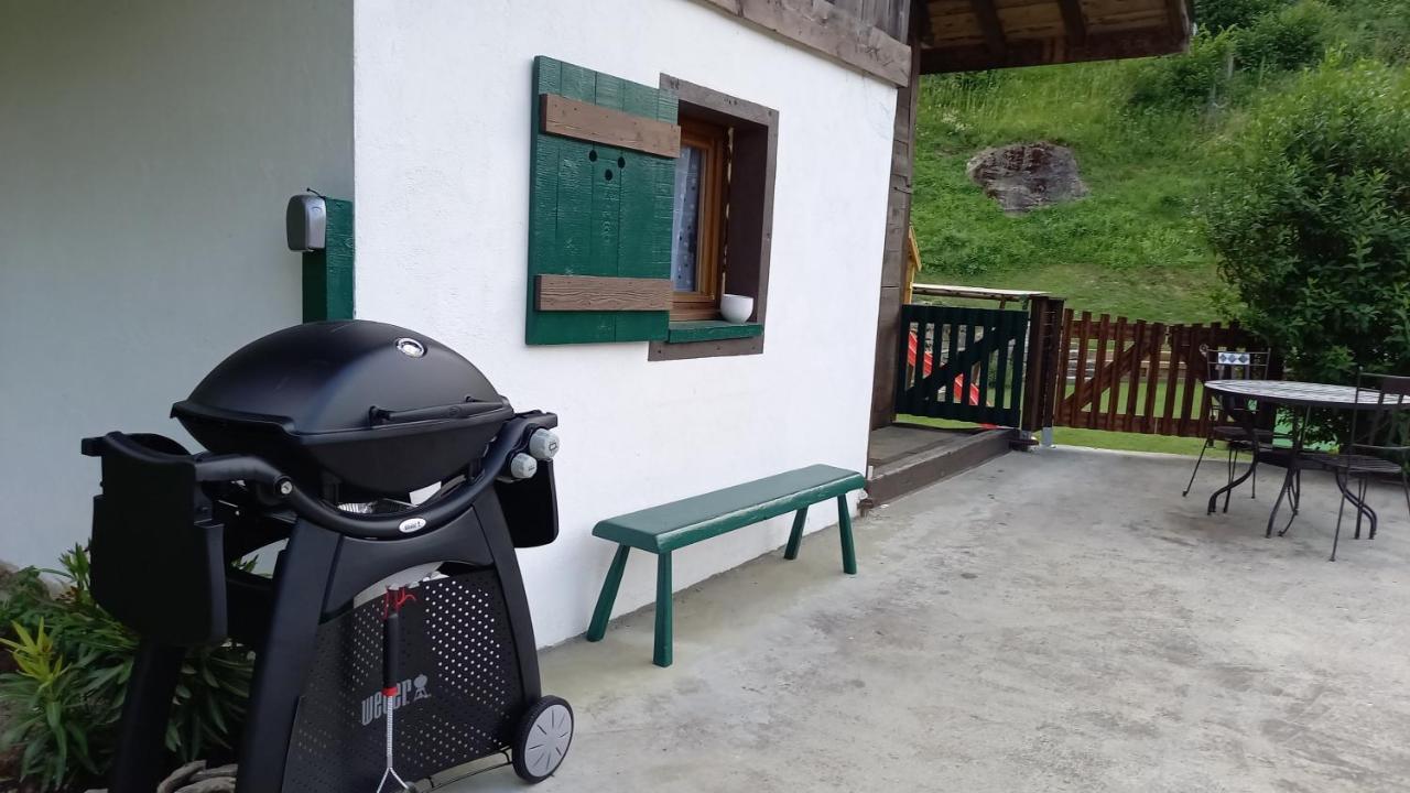 Petit Chalet Savoyard Domancy 外观 照片